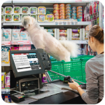 PDV Pet Shop – para Instalação Local em Desktop