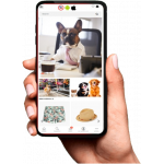 Site Grátis Pet shop - site pronto