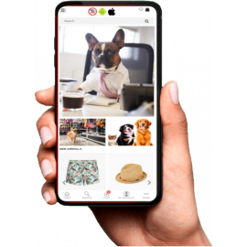 Site Grátis Dep. Construção - pronto para vender..